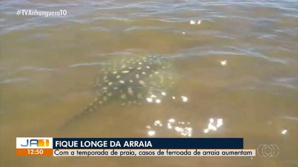 Casos de ferroadas de arraia aumentam durante a temporada de praias