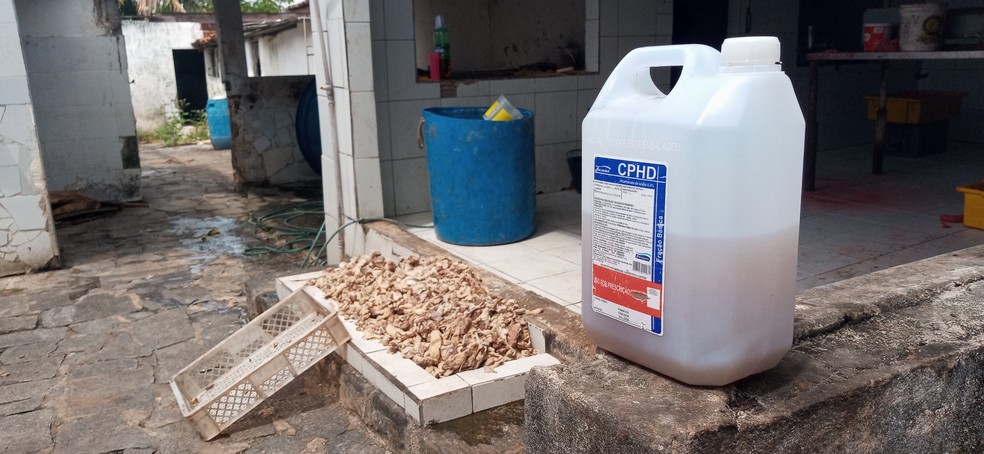 Corante e tempero foi encontrado junto da carne estragada — Foto: Alisson Correia/TV Cabo Branco