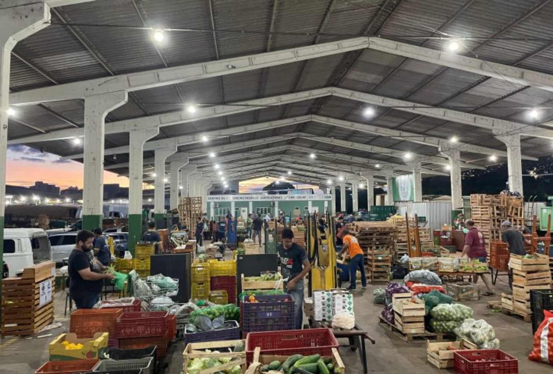 Com custo de R$ 5, Ceasa-MS abre mercado para pequenos produtores; veja passo a passo de como vender