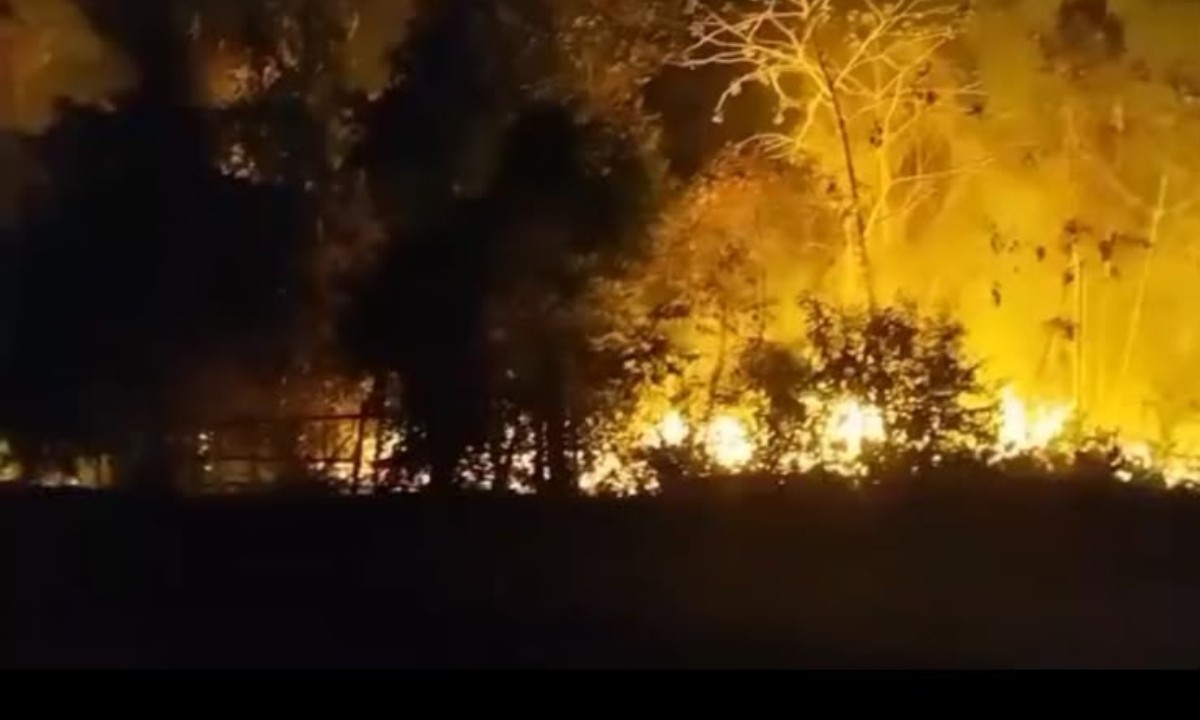Incêndio atinge área de mata próxima a lixão em Maués, no interior do Amazonas