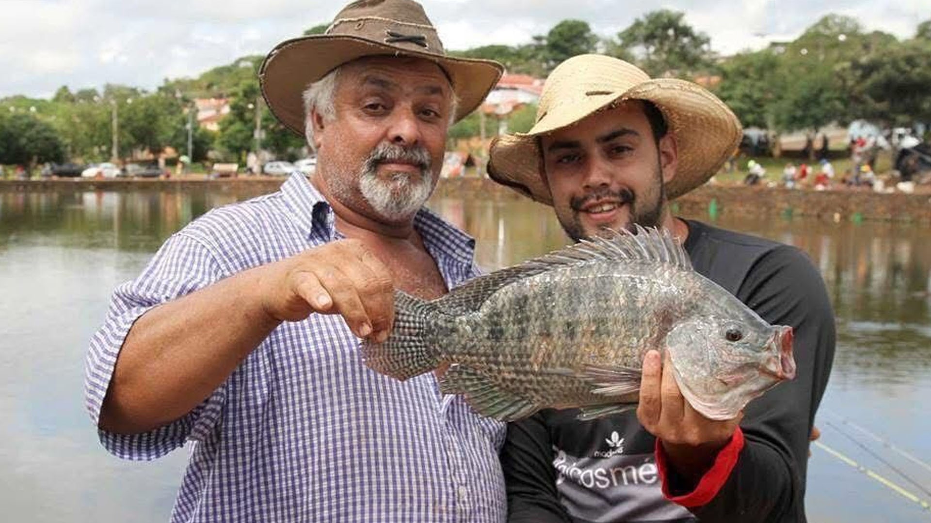 Toneladas de peixes são soltas em pesqueiros artificiais para eventos de pais e filhos no interior de SP