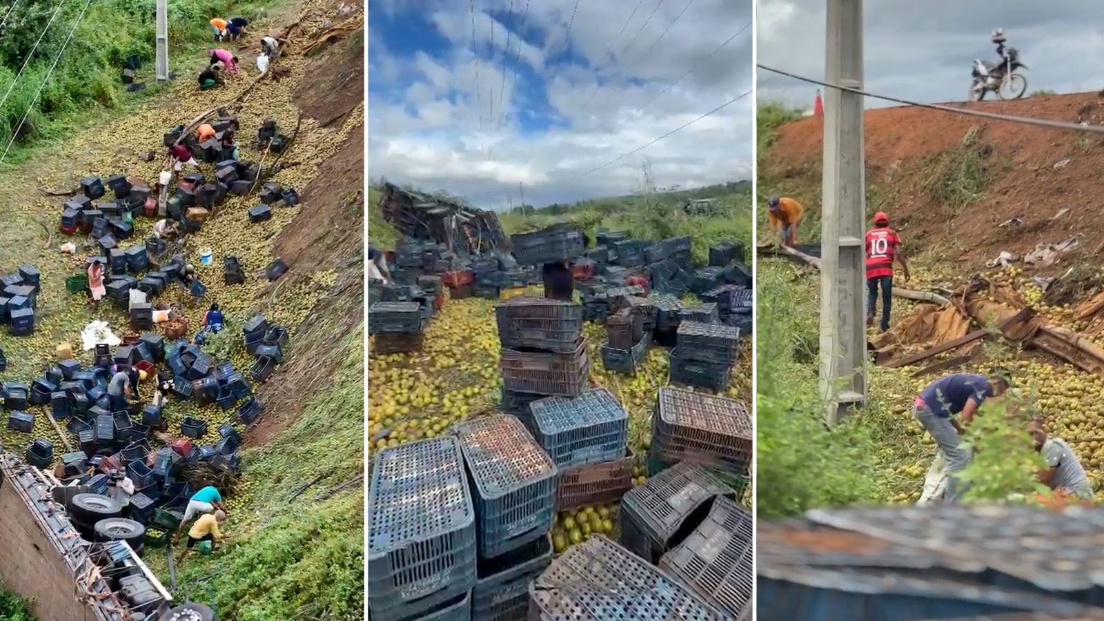 VÍDEO: População saqueia carga de laranja após caminhão tombar no PI; motorista teve braço esmagado