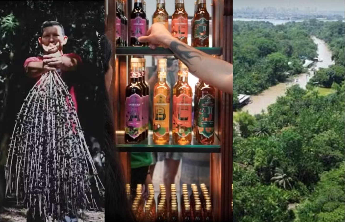 Banho de cheiro, cacau selvagem, açaí do pé: como a COP 30 coloca Belém no mapa do turismo sustentável