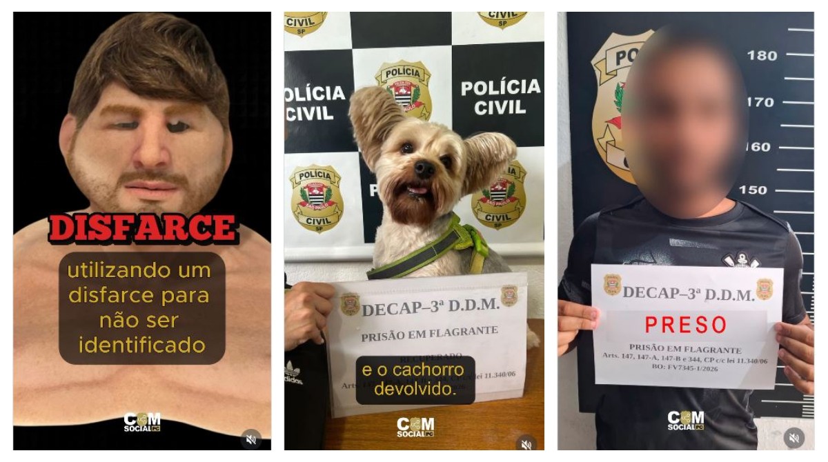 VÍDEO: Homem usa disfarce com máscara realista para furtar cãozinho de ex em pet shop de SP