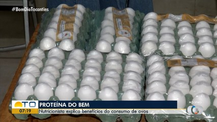 Consumir um ovo por dia pode reduzir risco de doenças neurológicas