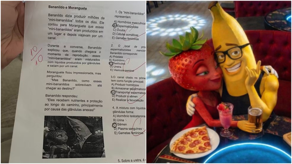 'Bananildo produzia milhões de minibananildos': questão de ciências com 'frutas do TikTok' viraliza, mas pode confundir alunos — Foto: Montagem/g1
