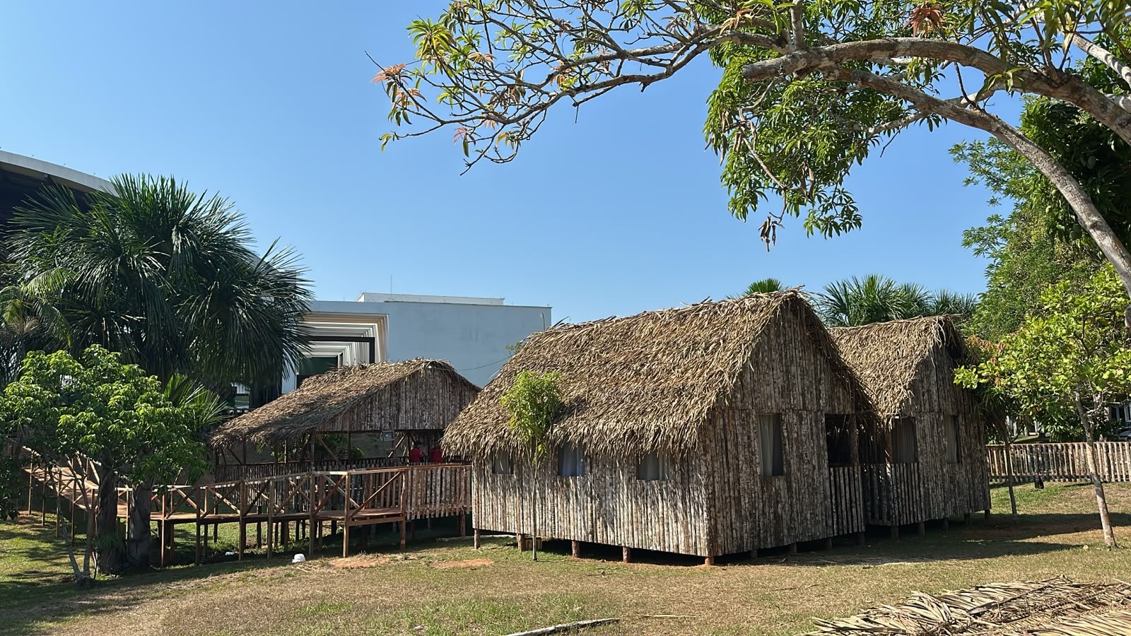 Inova Amazônia Summit reúne inovação, bioeconomia e negócios em Rio Branco; VEJA detalhes