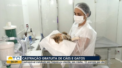 Castramóvel atende animais de graça em Taquaruçu