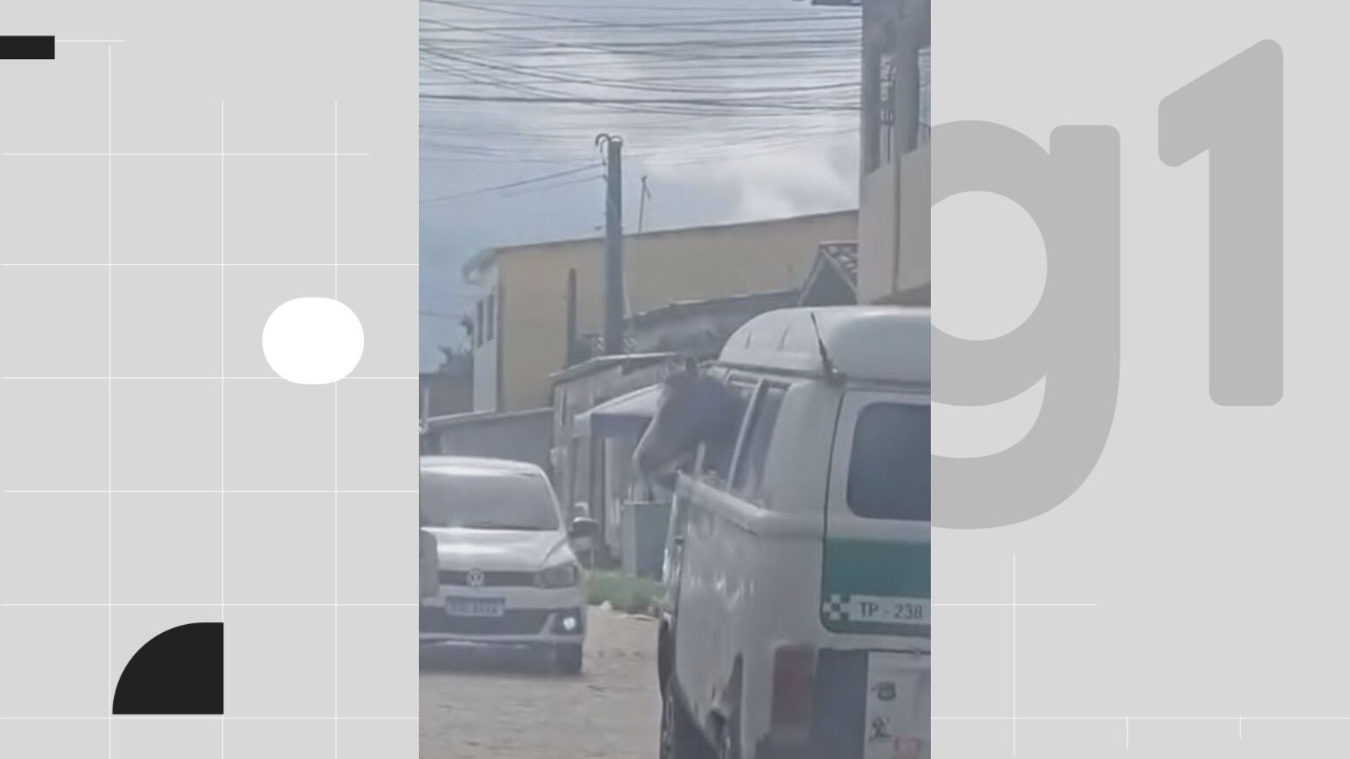 Cavalo é transportado dentro de Kombi em rua movimentada do Grande Recife; VÍDEO