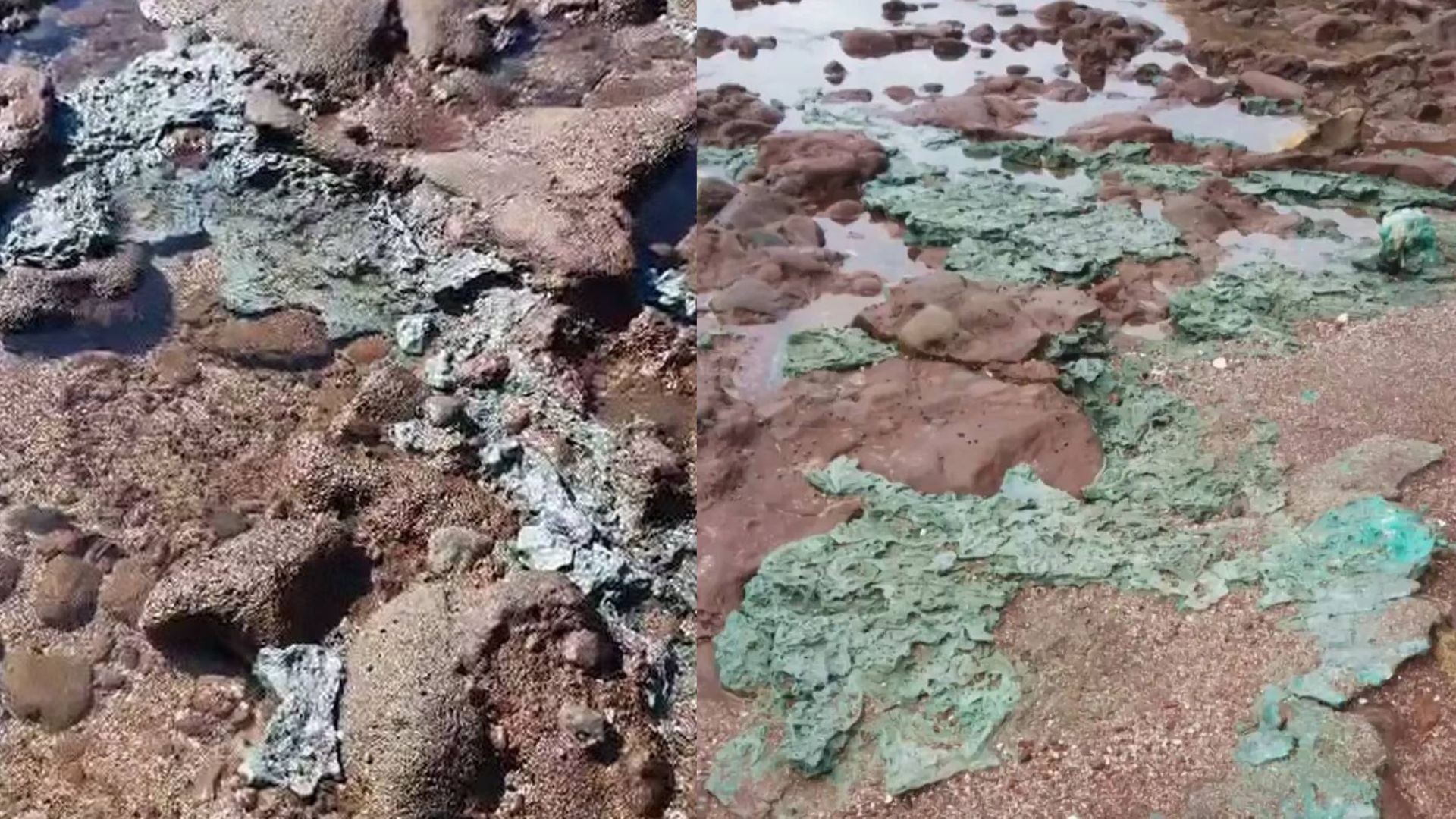 Lixo cria 'rochas de plástico' e ameaça arquipélago quase inabitado mais distante da costa brasileira