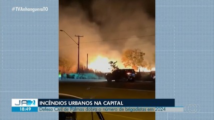 Defesa Civil de Palmas amplia número de brigadistas em 2024; saiba mais