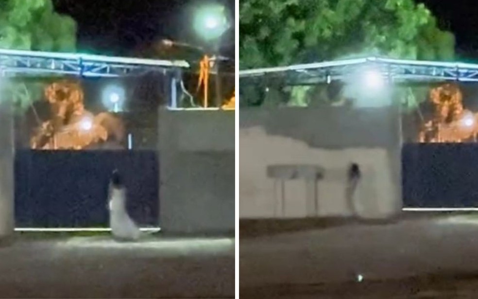 Mulher 'vestida de noiva' chama atenção após ser vista em frente a cemitério, em Goiás — Foto: Arquivo pessoal