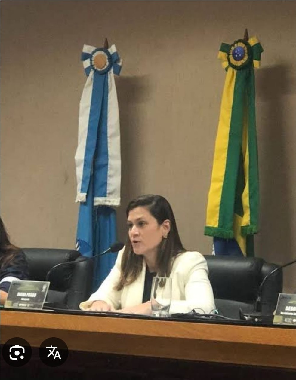 A advogada Joana Prado de Oliveira — Foto: Reprodução