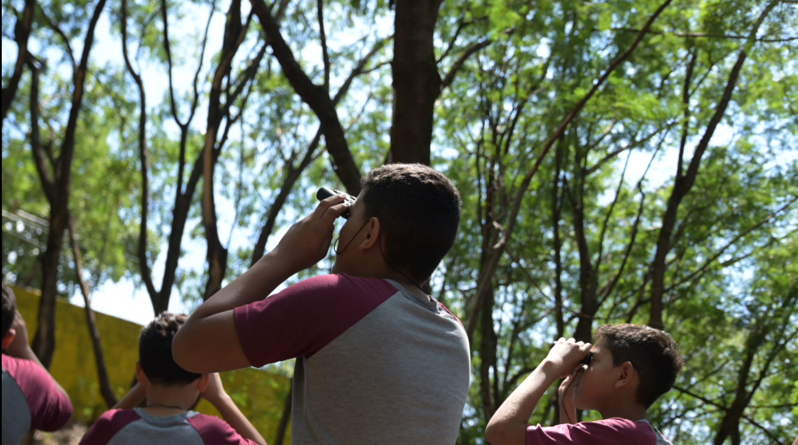 Terra da Gente apresenta novo projeto de educação ambiental do Grupo EP