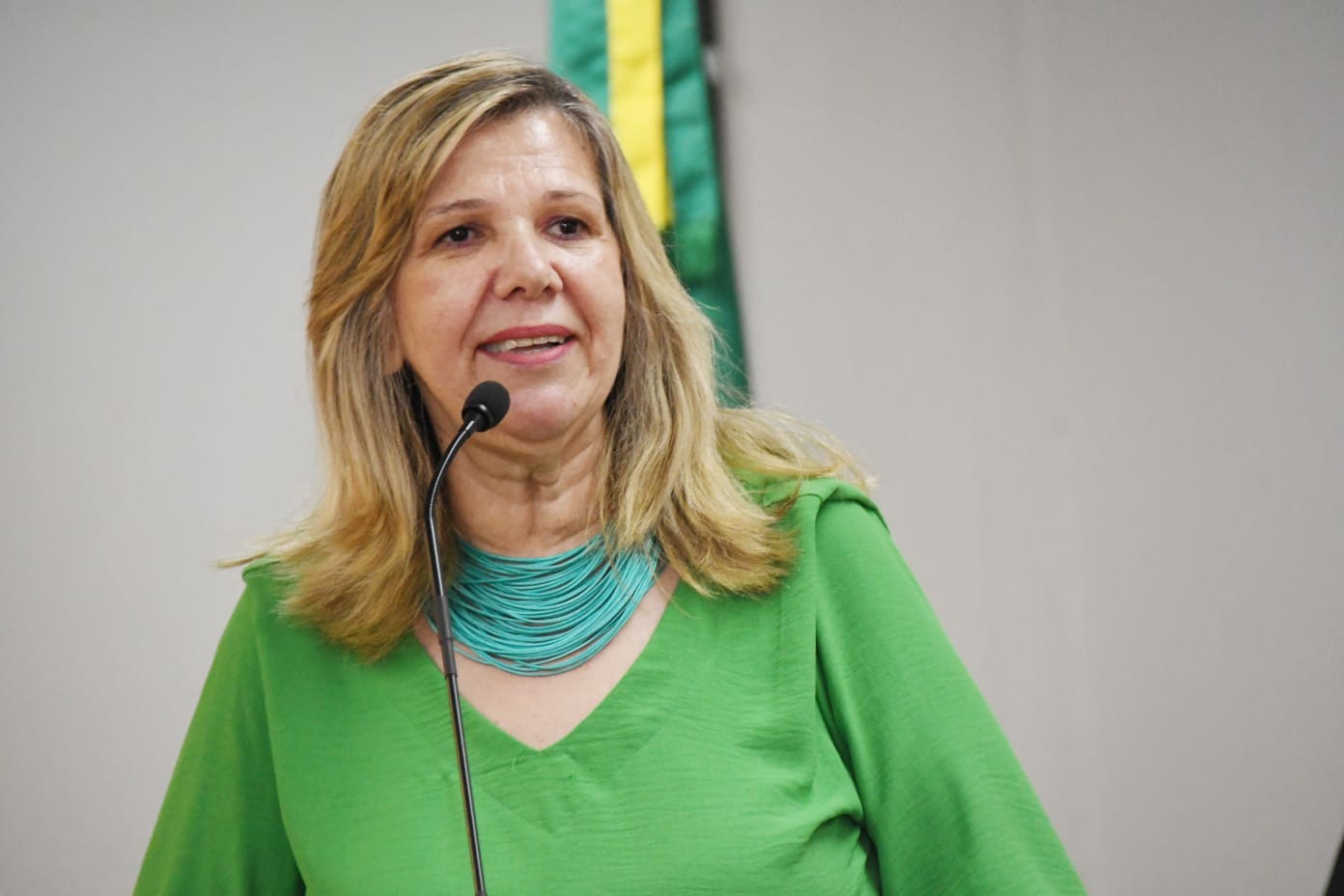 Câmara avalia denúncia contra vereadora Miriam Brandão sobre entrega de congratulações sem aprovação do Legislativo