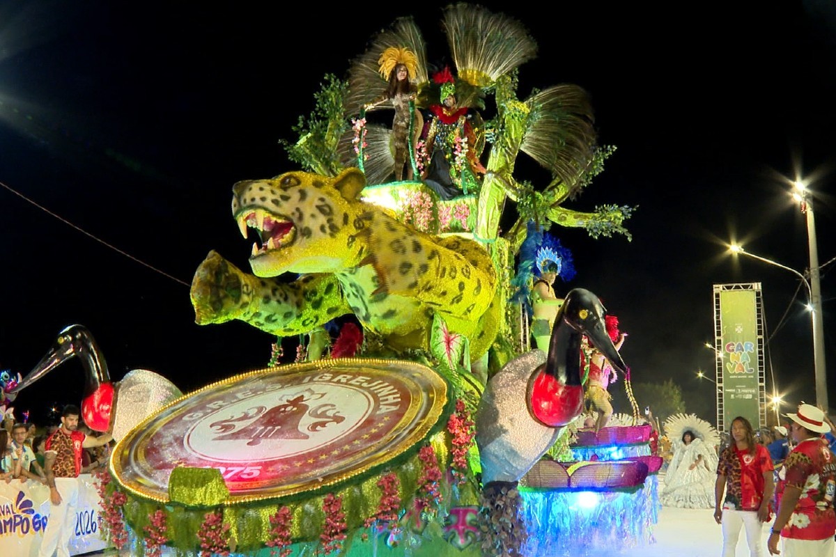 Samba e alegria marcam 1ª noite de desfiles do Carnaval em Campo Grande