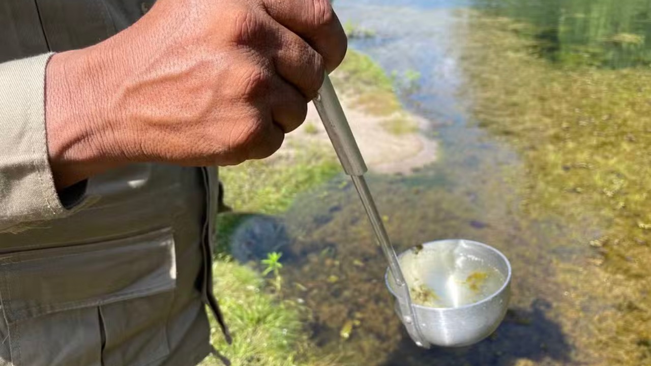Casos de malária caem no Amazonas, mas áreas indígenas ainda concentram 44% dos registros