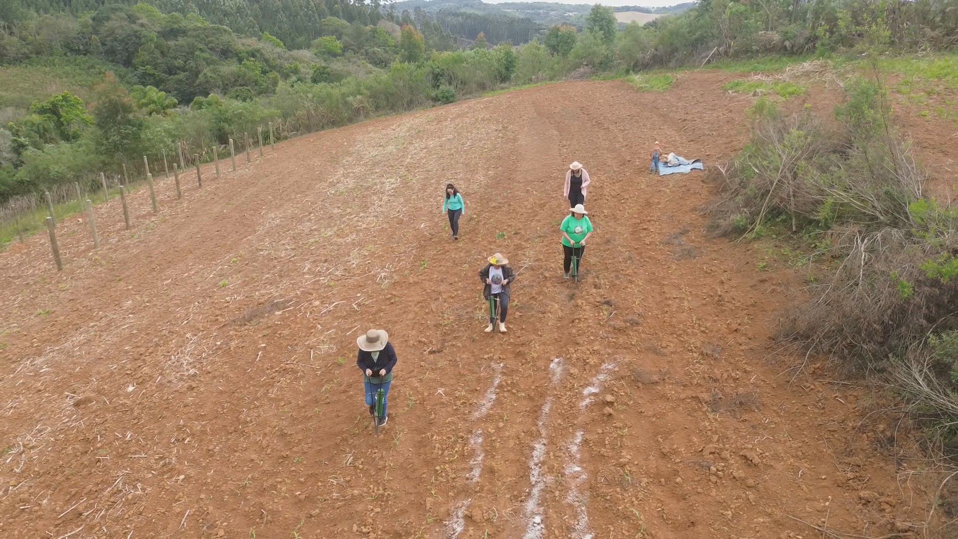 'Guardiã' viaja pelo Paraná para preservar variedades raras de sementes crioulas de milho