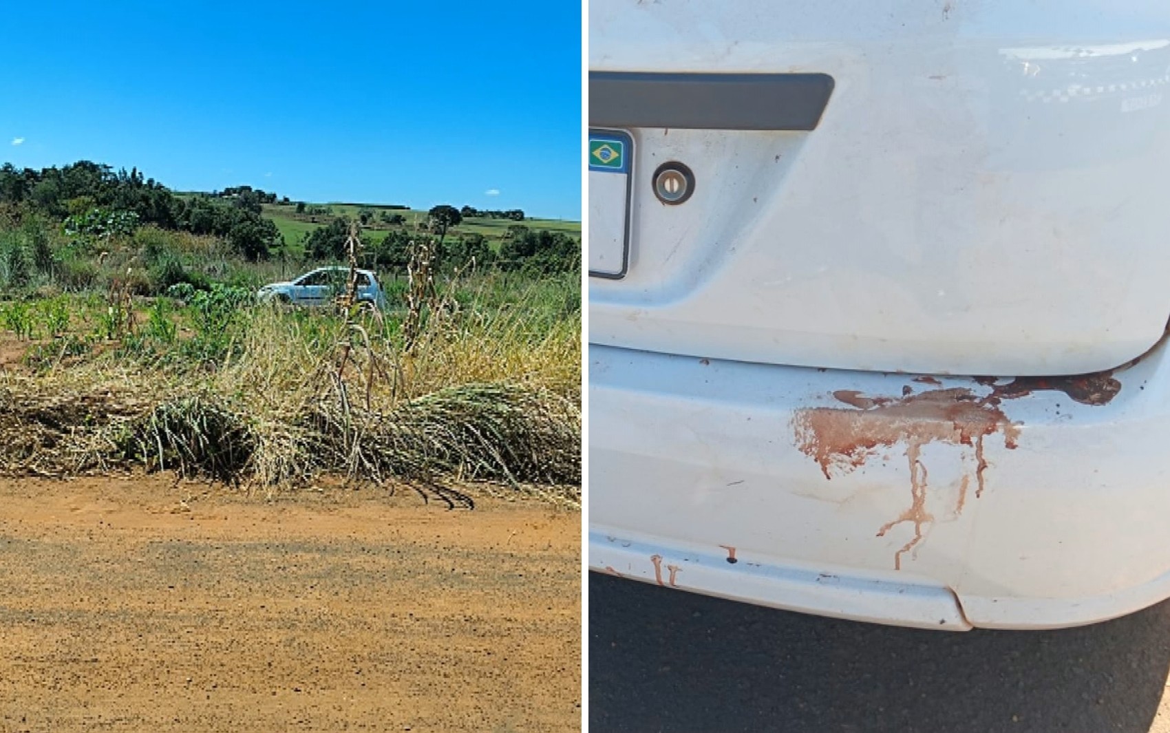 Homens matam homem a facada durante festa e abandonam corpo às margens de estrada 