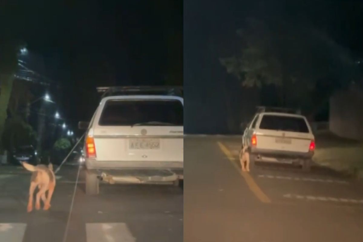 VÍDEO: motorista é preso após amarrar cachorro do lado de fora de carro e arrastá-lo por diversas ruas, no PR; animal morreu