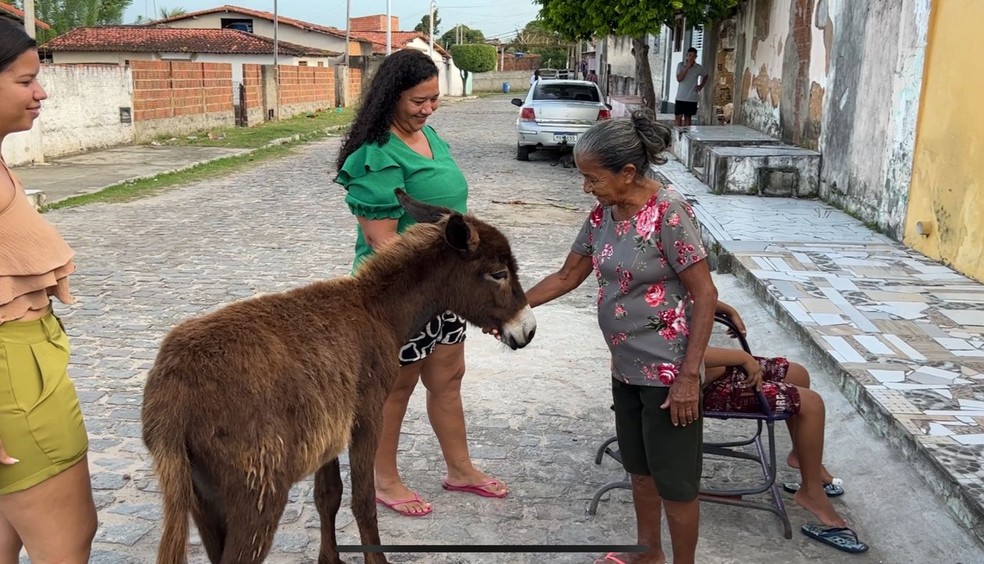 O passeio é sagrado pelas ruas do bairro onde mora, em Macaíba — Foto: Lucas Cortez/Inter TV Cabugi