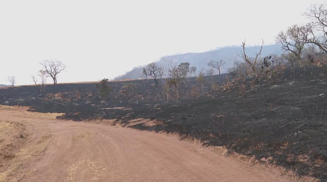 Incêndio está há dois dias sem controle em área de preservação ambiental em Cajuru, SPon setembro 19, 2024 at 5:43 pm