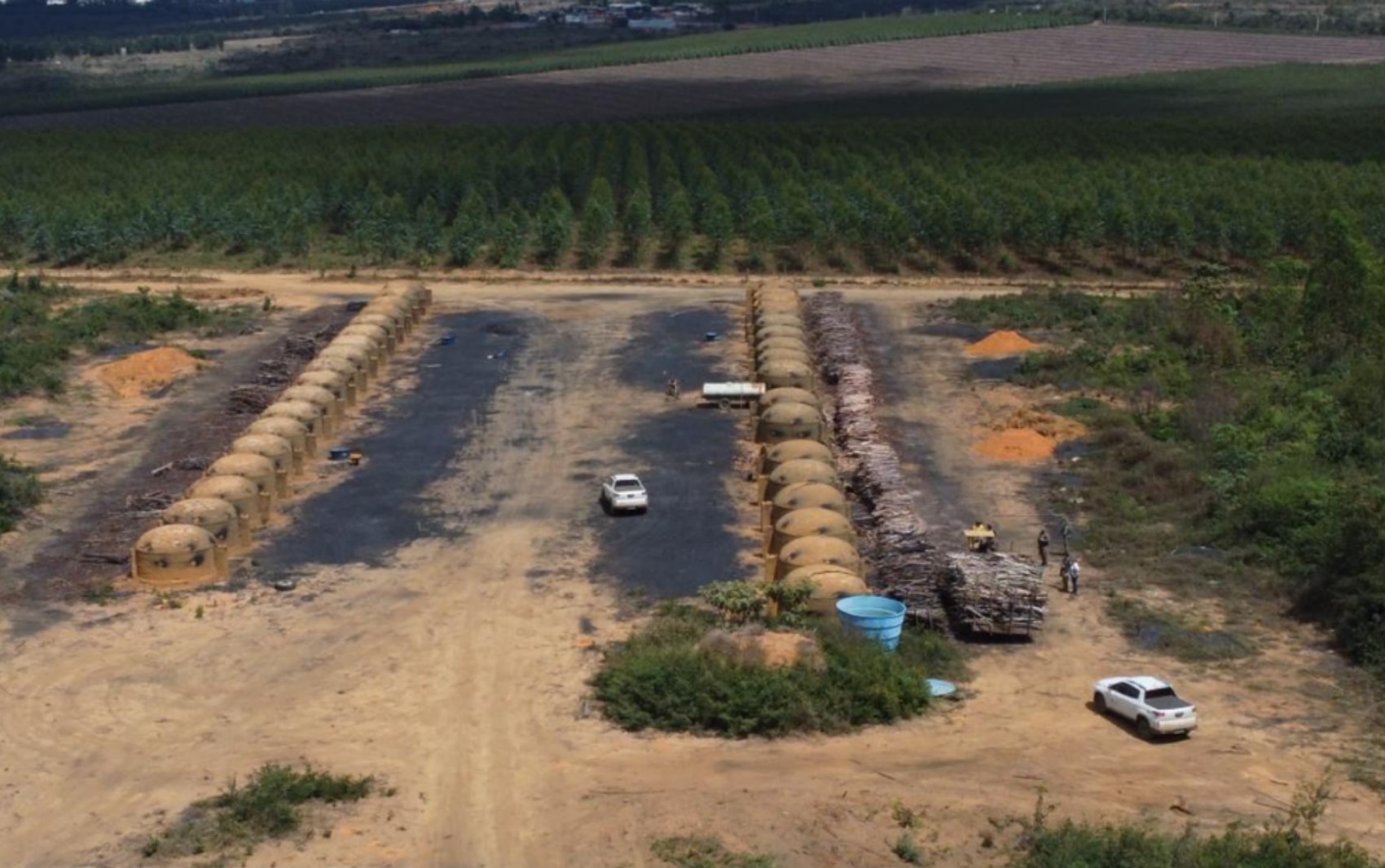 Mais de 200 hectares de desmatamento ilegal de Mata Atlântica são identificados na BA