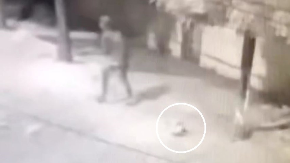 Câmera flagrou momento que homem matou cachorro a pauladas em rua de Canindé, no interior do Ceará. — Foto: Reprodução
