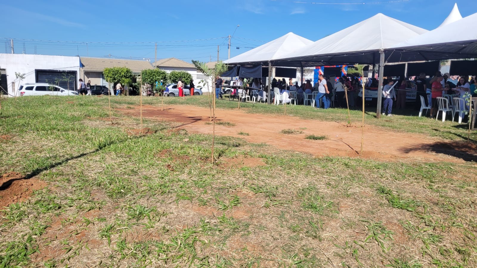 TEM Mais Verde: ação comunitária da TV TEM planta mais de 400 mudas nativas e frutíferas em Marília