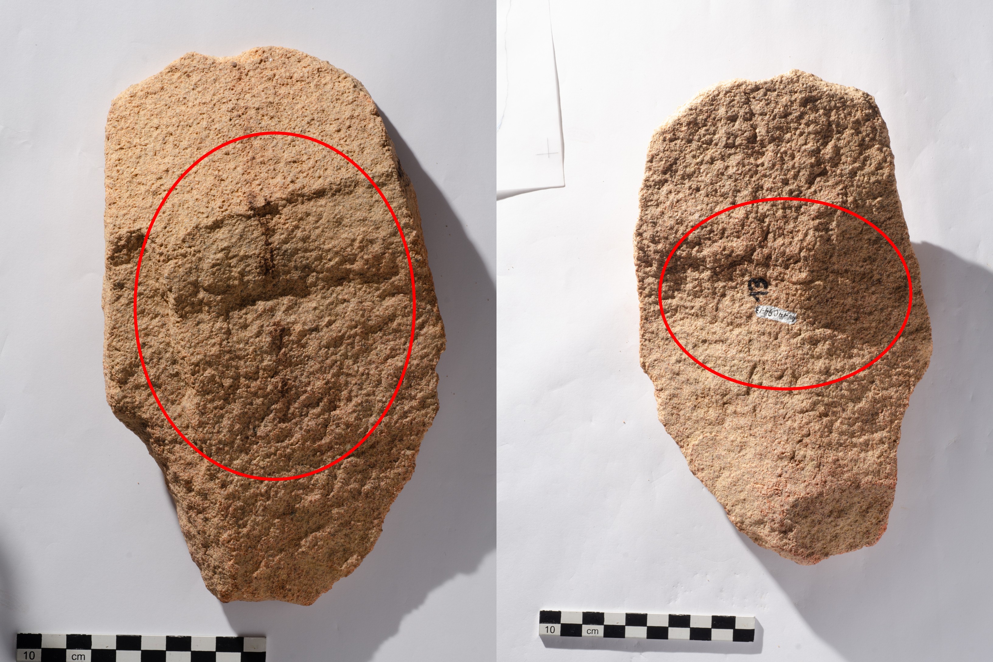 Pesquisa da USP encontra em RR primeiro sítio arqueológico do Brasil com sinais de granito lascado