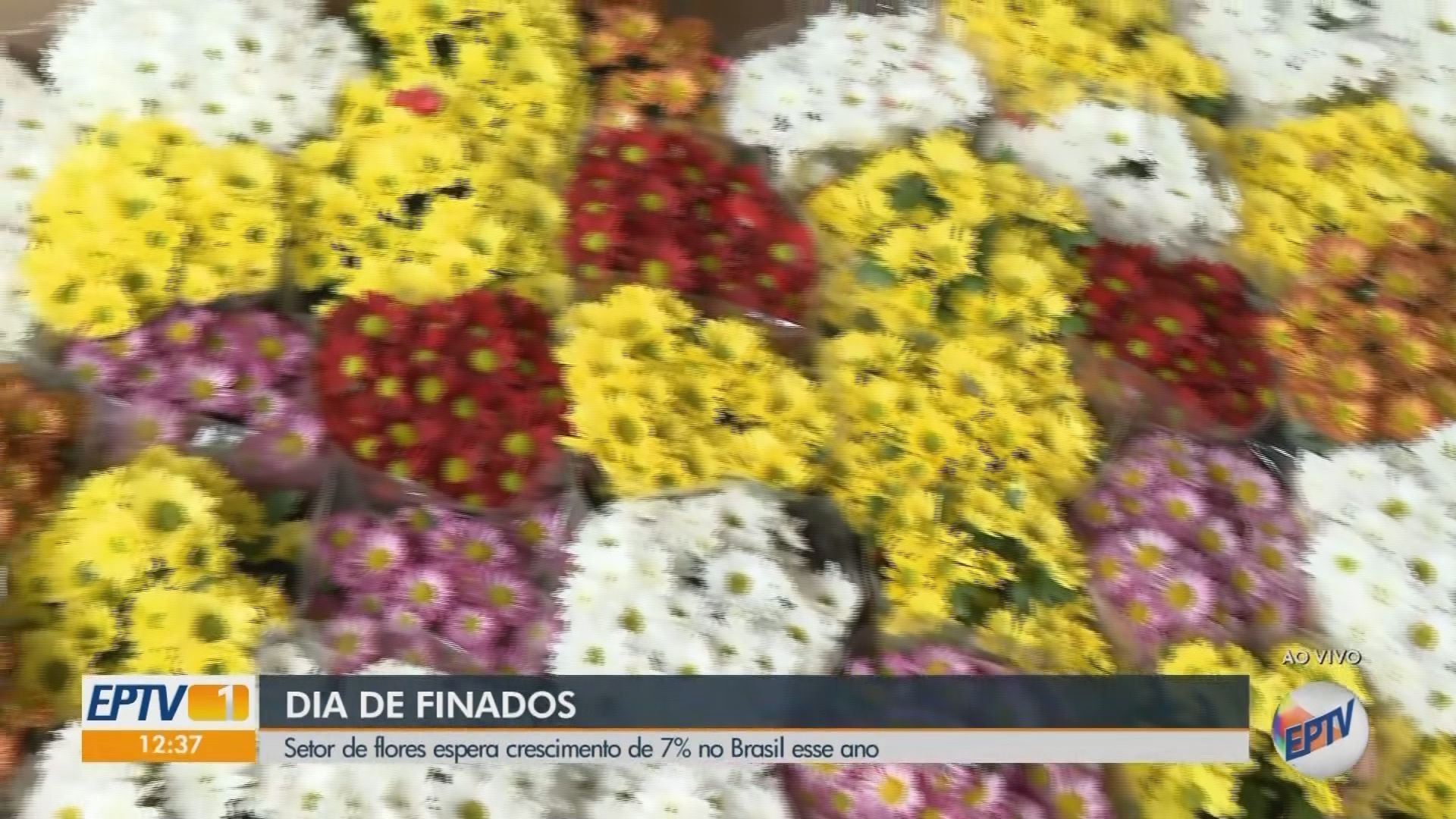 VÍDEOS: EPTV 1 Sul de Minas de sexta-feira, 31 de outubro de 2025