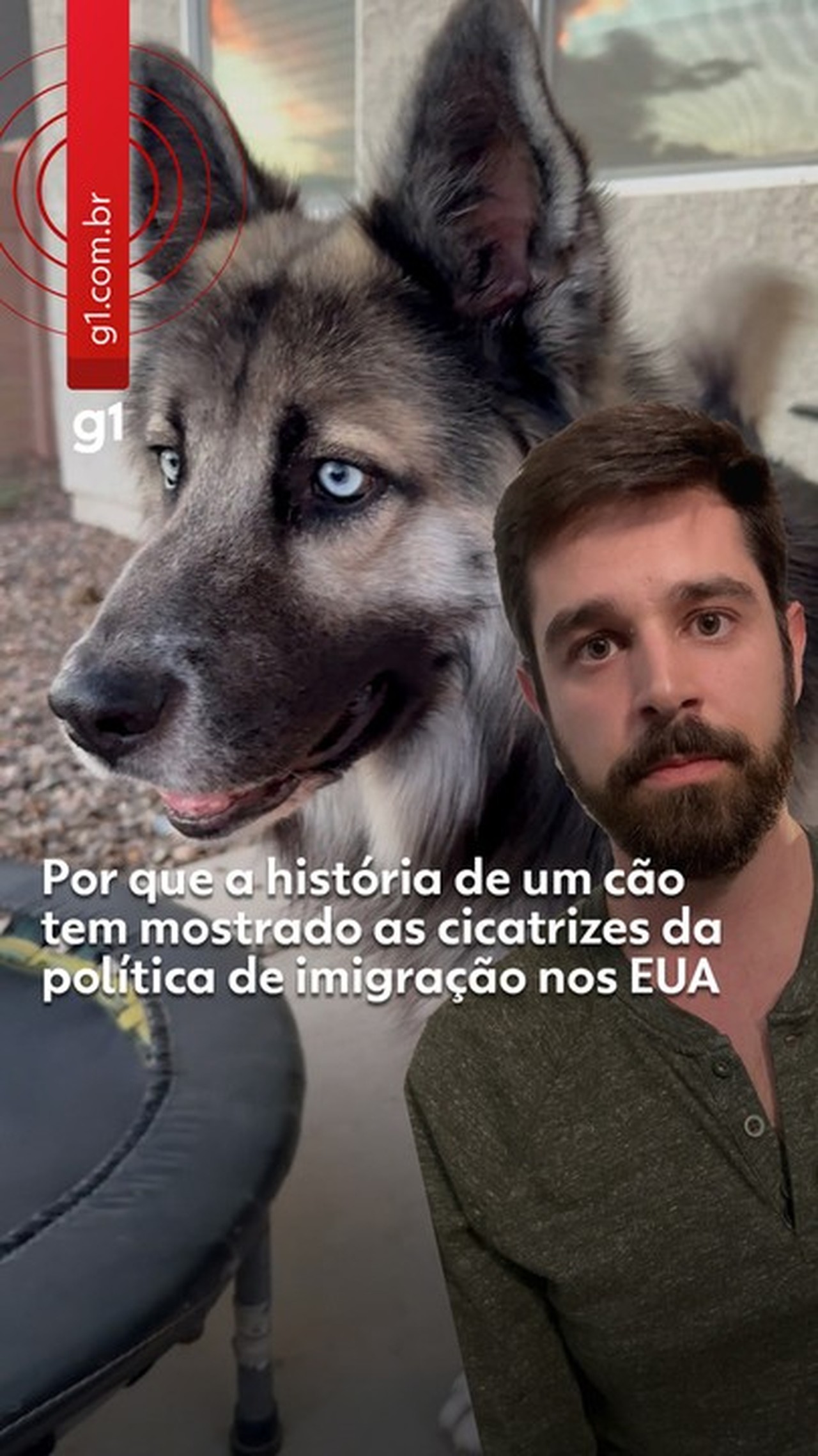 Cão 'latino' que teve a família detida pelo ICE viraliza por só atender aos comandos em espanhol