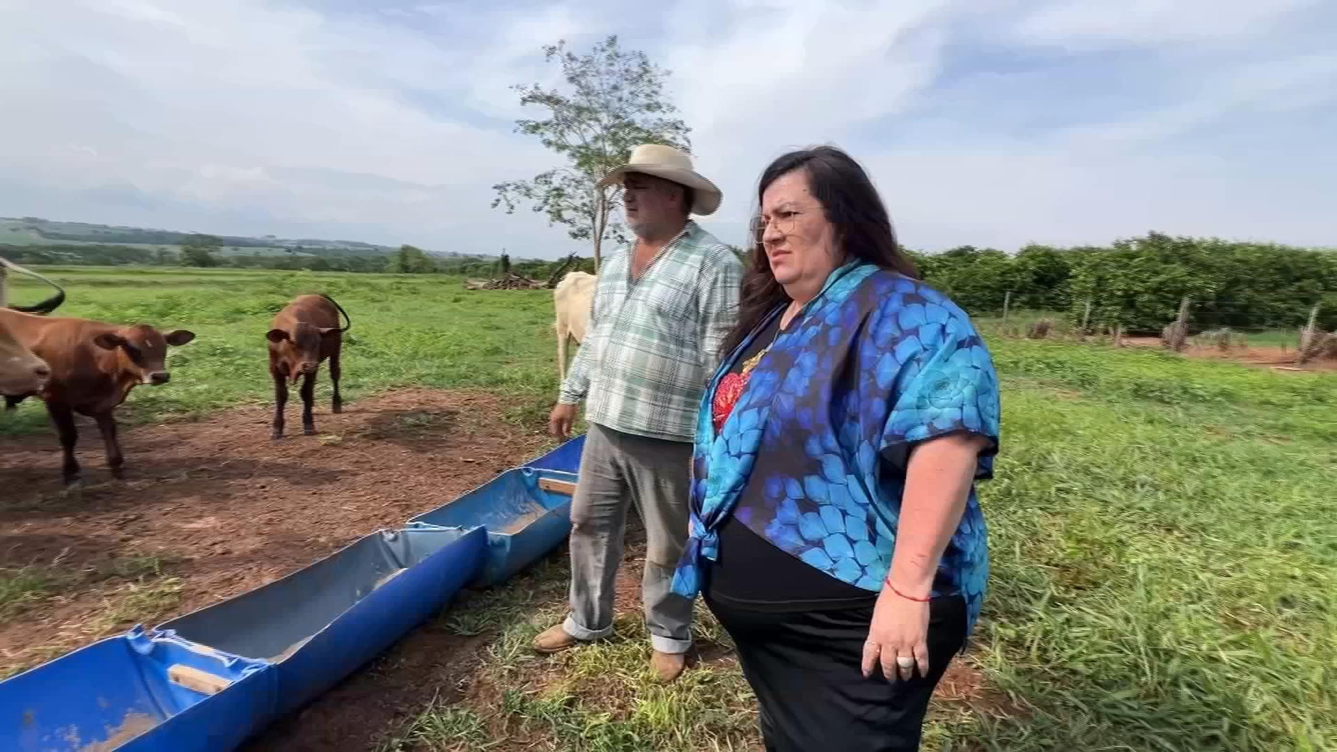 Mulheres mostram competência no comando da propriedade rural