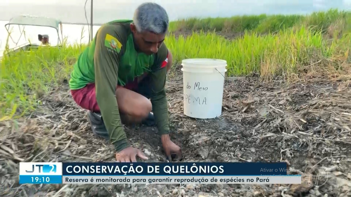 Reserva na Ilha do Meio intensifica monitoramento para reprodução de quelônios no Oeste do Pará
