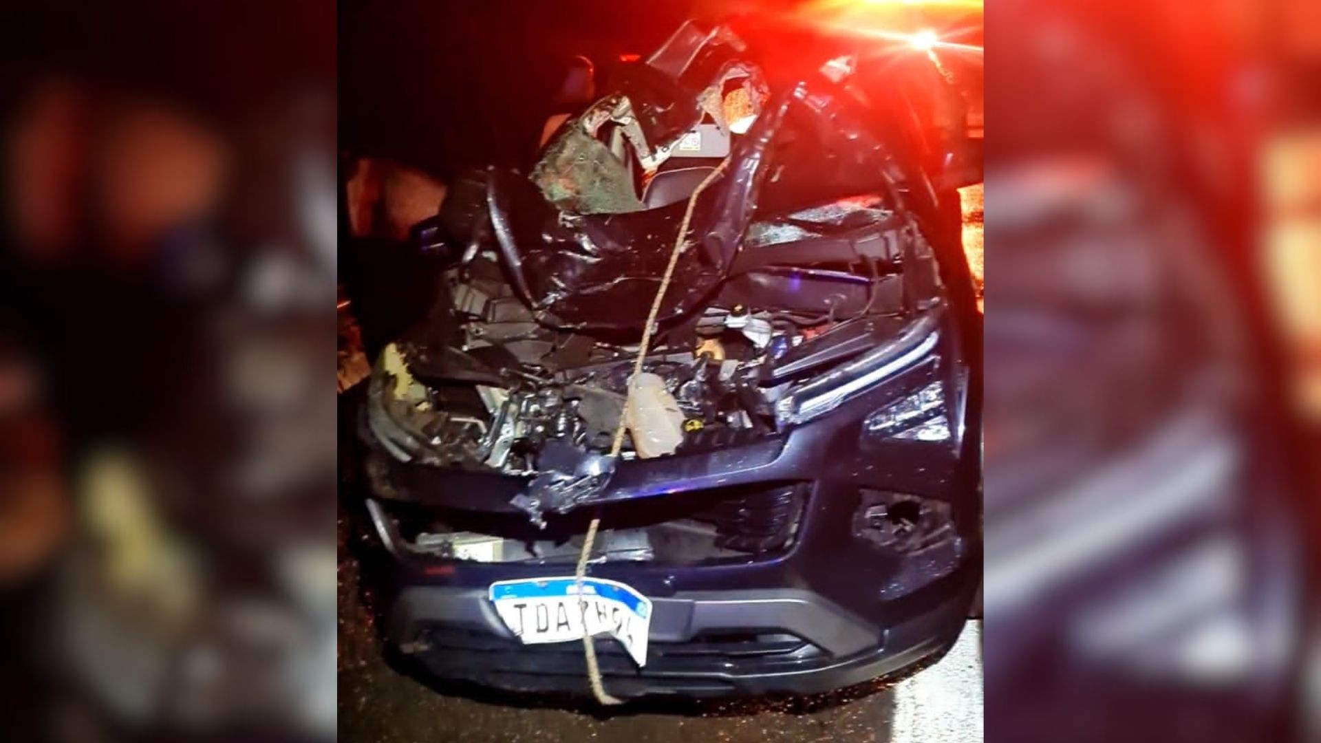 Quatro pessoas da mesma família ficam feridas após carro atropelar cavalo solto na SP-294; animal morreu