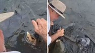 Peixes so tratados como pets e comem at biscoito na mo do dono; vdeo