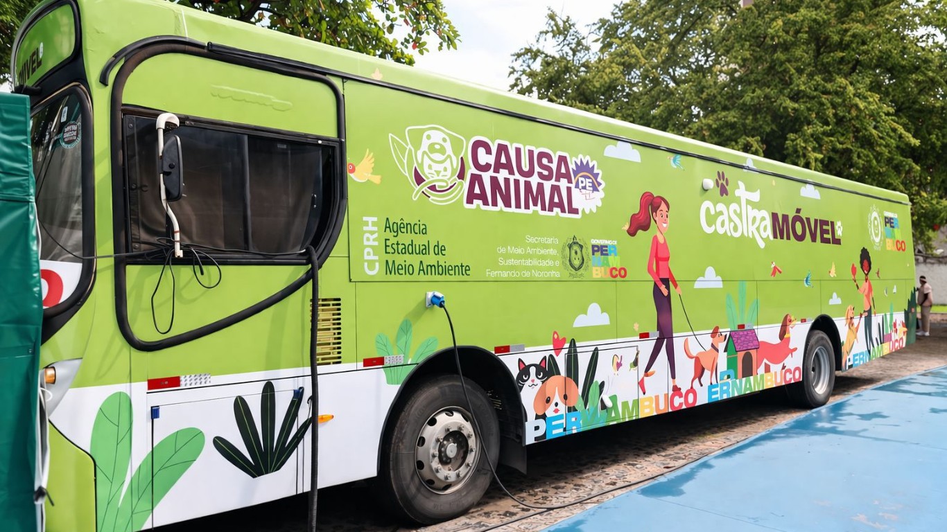 Caruaru recebe programa de castração gratuita de cães e gatos; veja como agendar atendimento