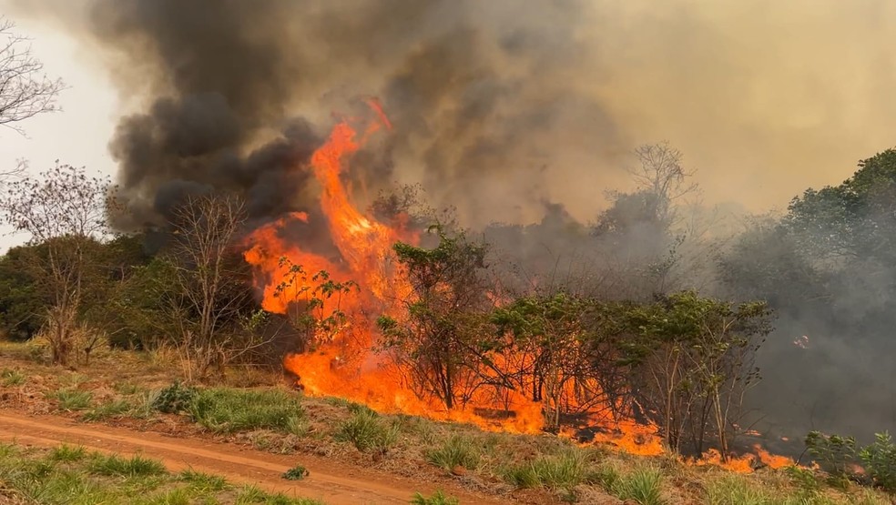 Incêndio registrado na região de São José do Rio Preto (SP) — Foto: Rogério Pedrozo/TV TEM