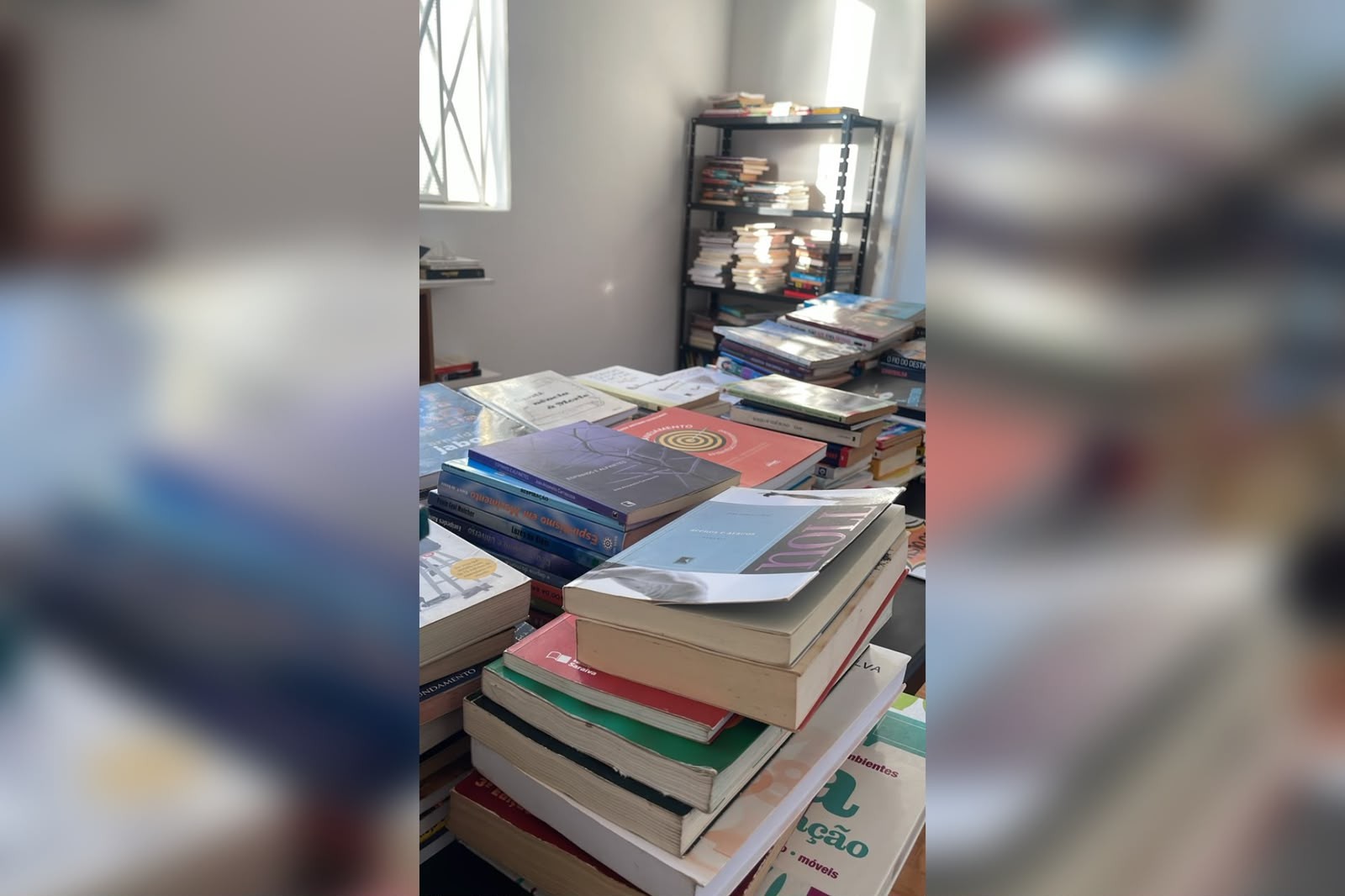 Mulher que criou sebo 'viajante’ inaugura unidade fixa em Itapetininga: ‘Refúgio para desacelerar’, diz