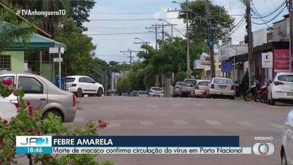 Vírus da Febre Amarela é identificado após morte de macaco no TO