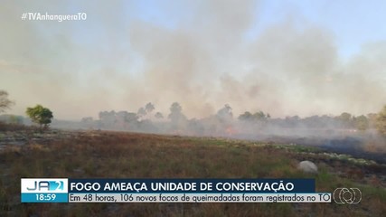 Tocantins registra mais de 100 focos de incêndio em 48 horas
