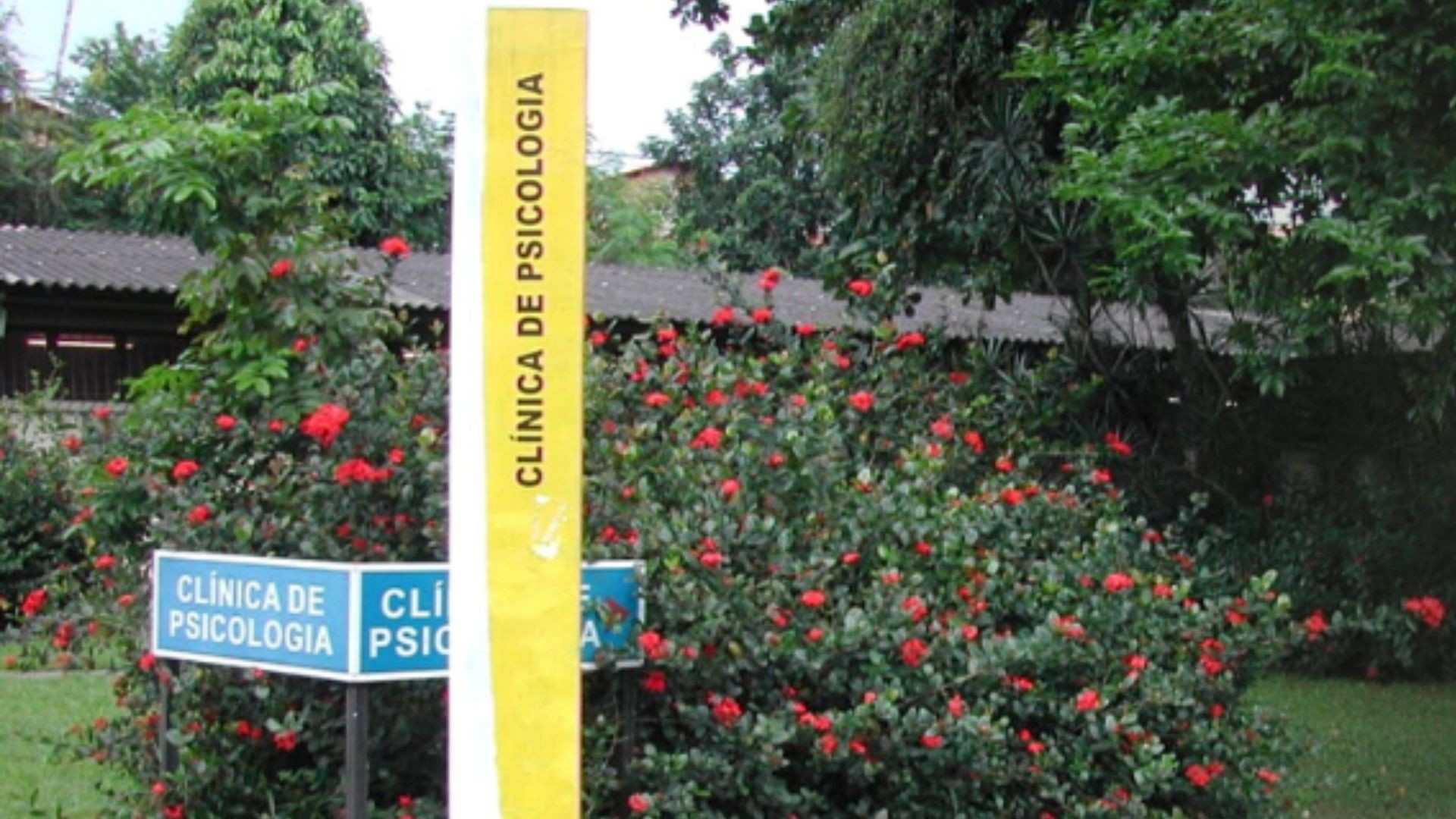 Atendimento psicológico e psiquiátrico gratuito: saiba como ter acesso ao serviço na UFPA