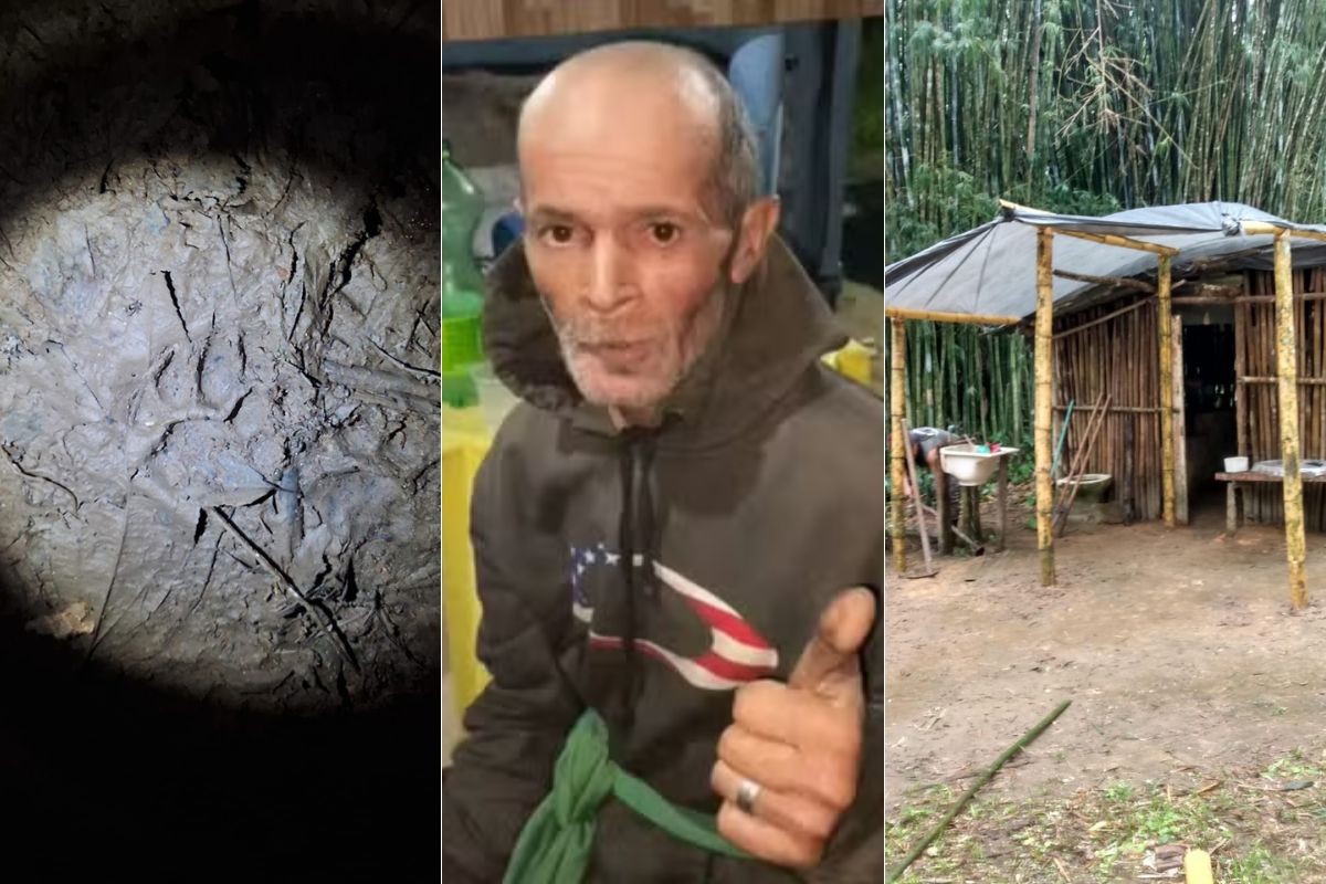 Filho de idoso encontrado após 15 dias perdido na mata conta como pai sobreviveu e que cadela foi 'heroína'; VÍDEO