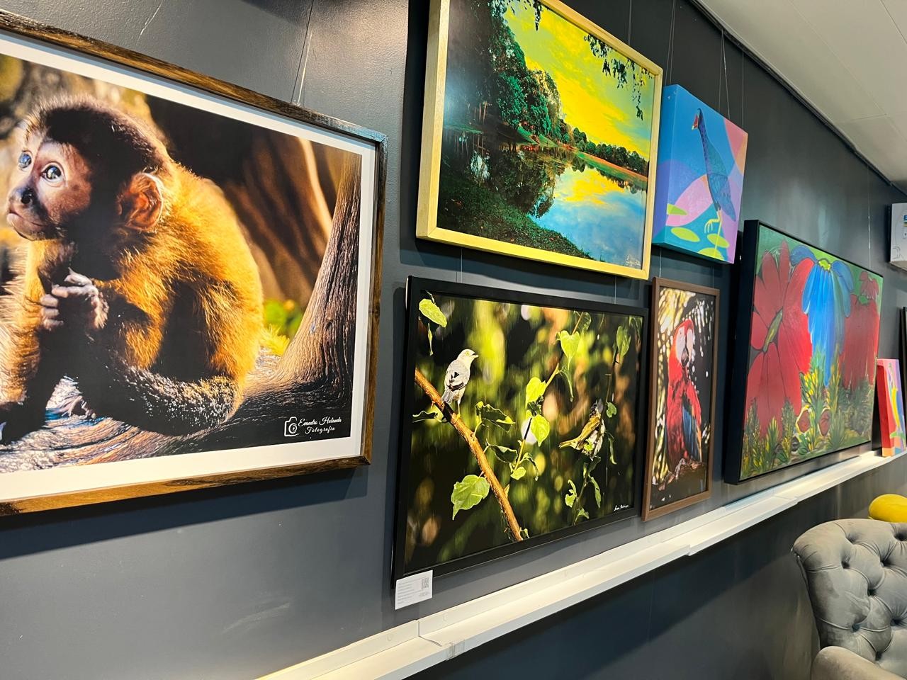 Em Macapá, exposição 'Uma floresta dentro da Rede Amazônica' retrata a beleza da natureza