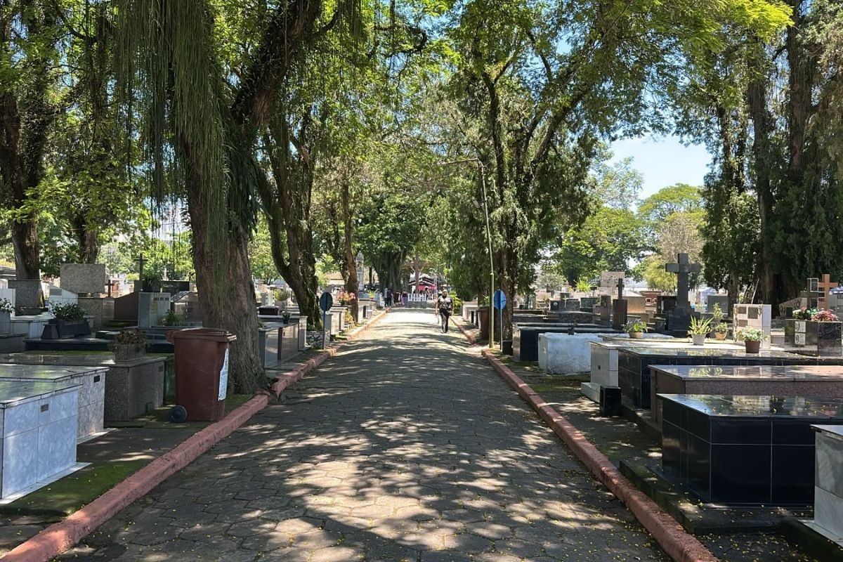 cemitérios de São José dos Campos esperam receber 50 mil visitantes; veja horários e programação — Dia de Finados