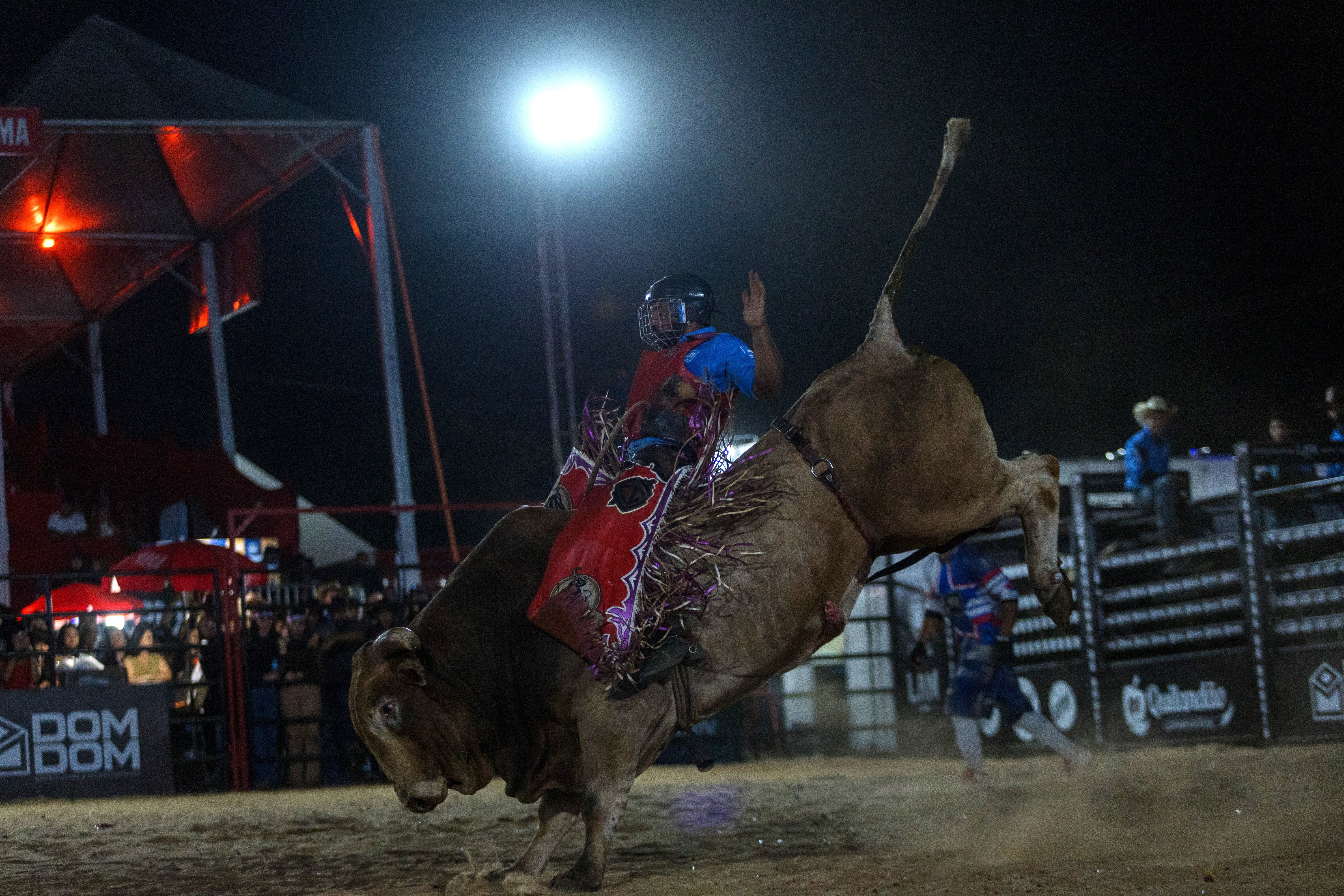 Peão se equilibra no touro em prova de montaria do Limeira Rodeo Music 2026 — Foto: Thomaz Marostegan/g1