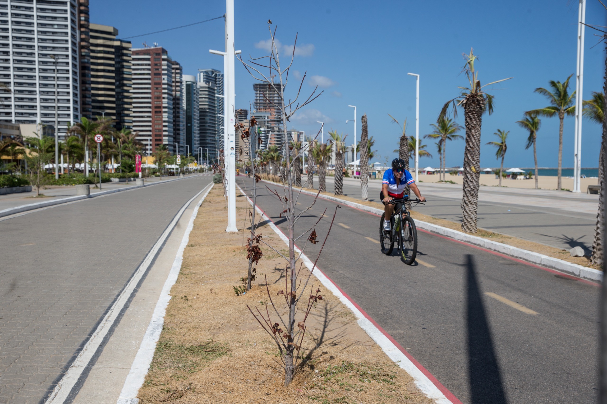 Plantas agonizam e paisagismo sofre deterioração na Beira Mar de Fortaleza 