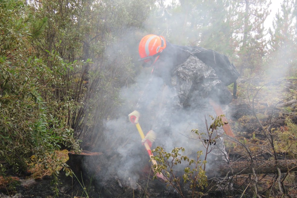 Imagem de brasileiro em treinamento para combater incêndio no Canadá — Foto: Missão Humanitária Brasileira