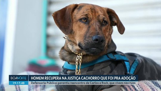 Homem em situação de rua no Paraná recupera na Justiça cachorro que foi para adoção: ‘Ele é a minha família’ - Programa: Boa Noite Paraná 