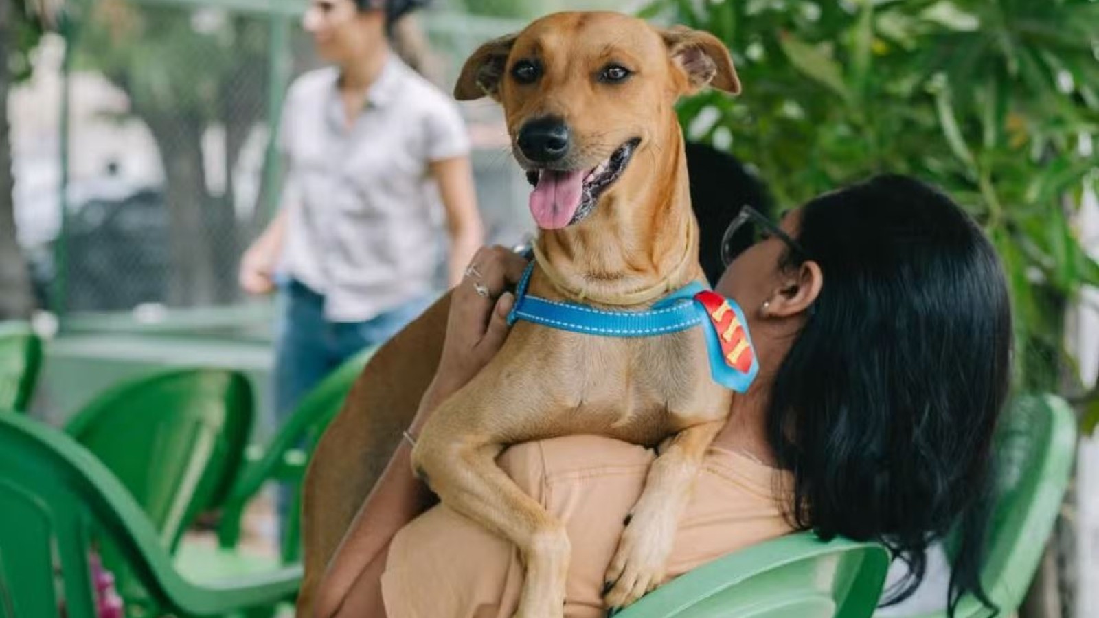 'Parada Pet' oferece serviços veterinários gratuit